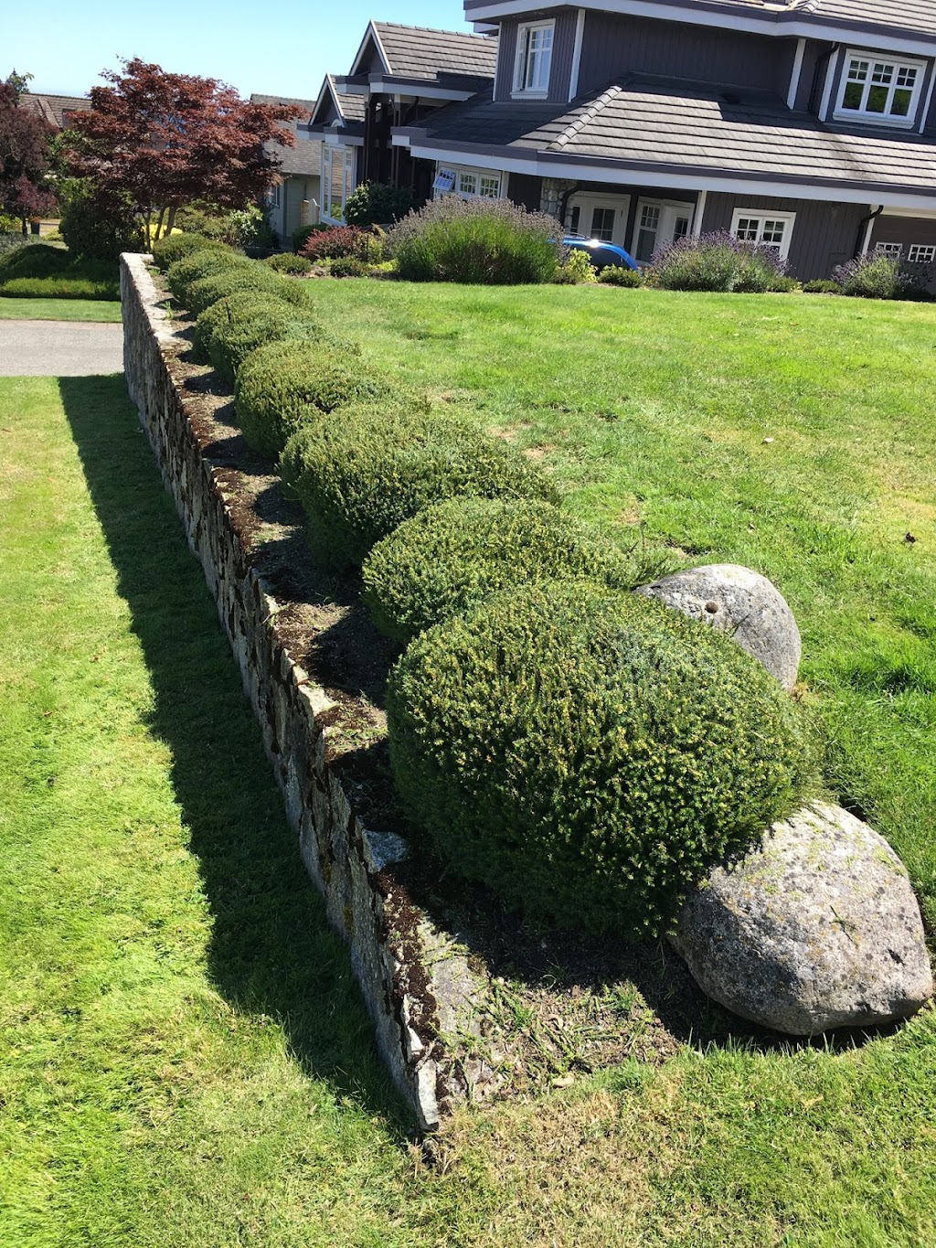 Sandy’s Gardening & Landscaping | 2025 Chaucer St, Victoria, BC V8R 1H6, Canada | Phone: (306) 231-0501
