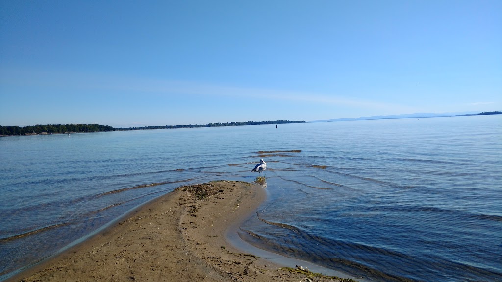 Alburg Dunes State Park | 151 Coon Point Rd, Alburg, VT 05440, USA | Phone: (802) 796-4170