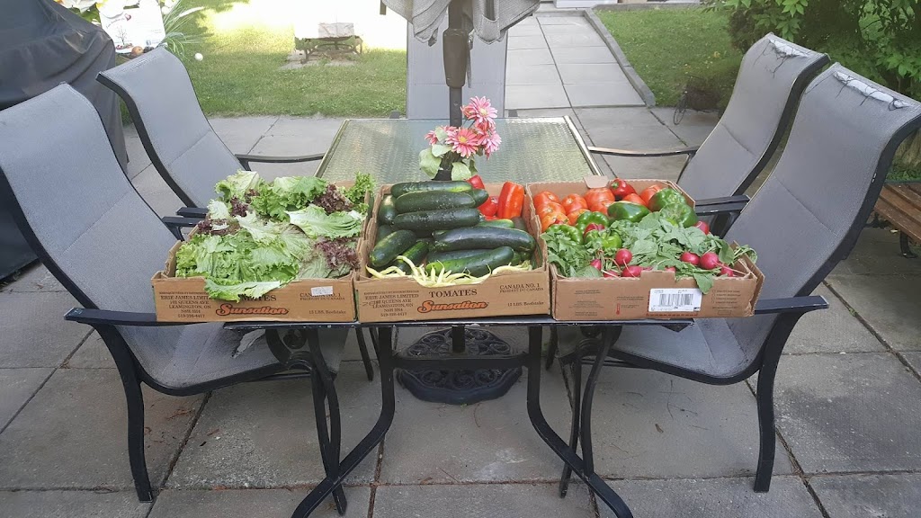 Les Jardins du Coeur | 61 Rue Mailhot, Victoriaville, QC G6P 6R5, Canada | Phone: (819) 357-5527