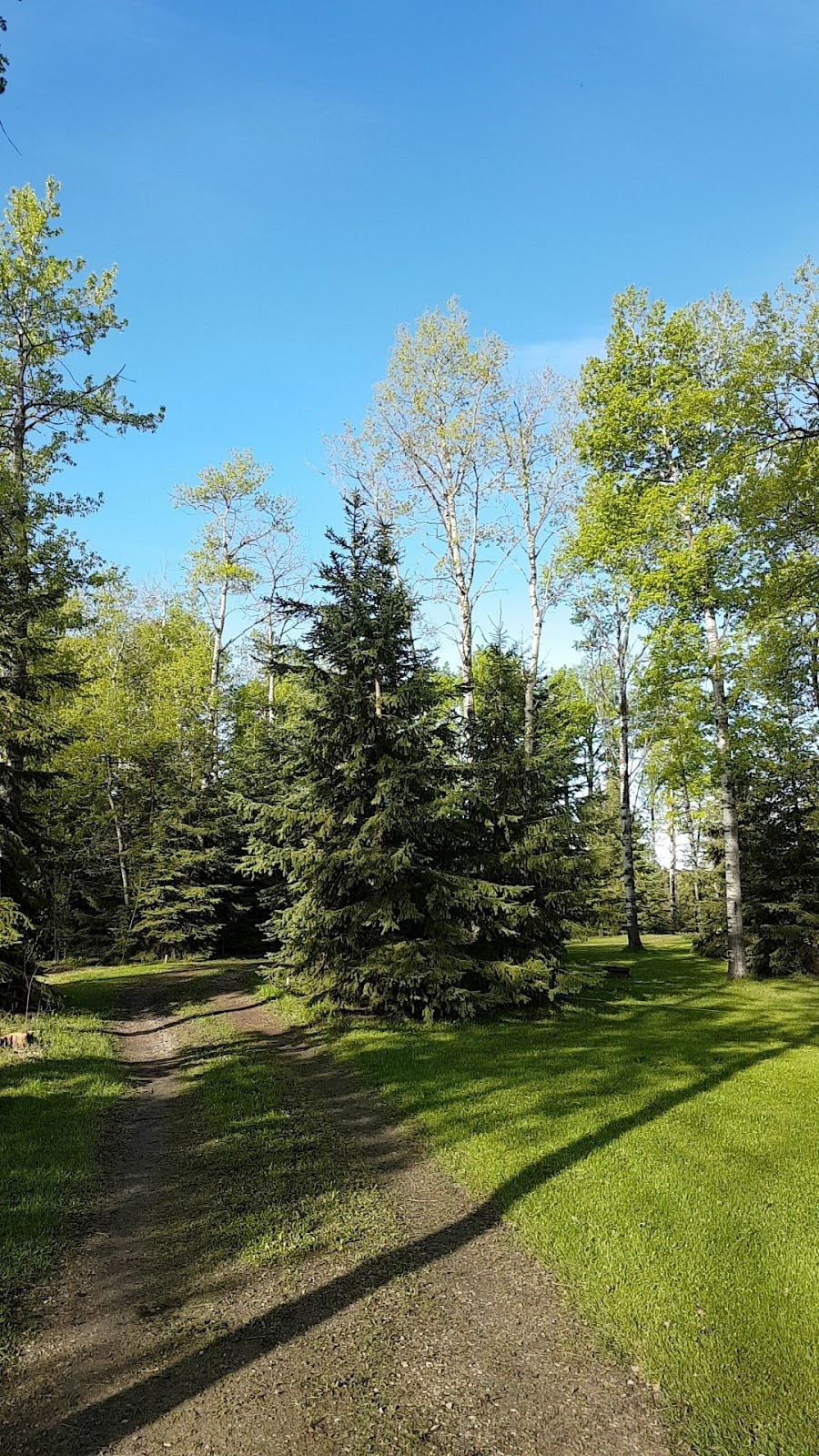 Whitewood RV Park | 53506 Range Rd 43, Lac Ste. Anne County, AB T0E 0J0, Canada | Phone: (780) 660-4653