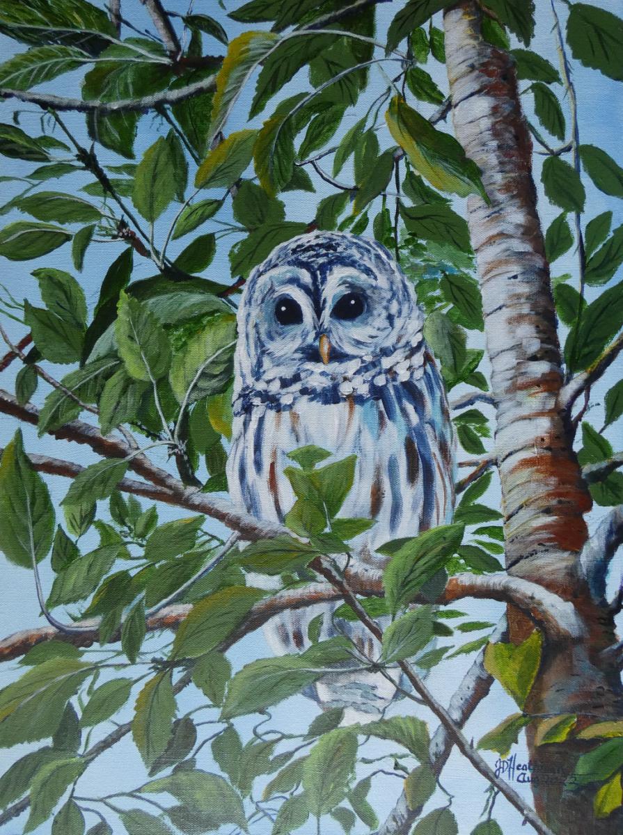 Chilliwack Valley Art | 46511 Chilliwack Lake Rd, Chilliwack, BC V2R 3S2, Canada | Phone: (604) 819-0315
