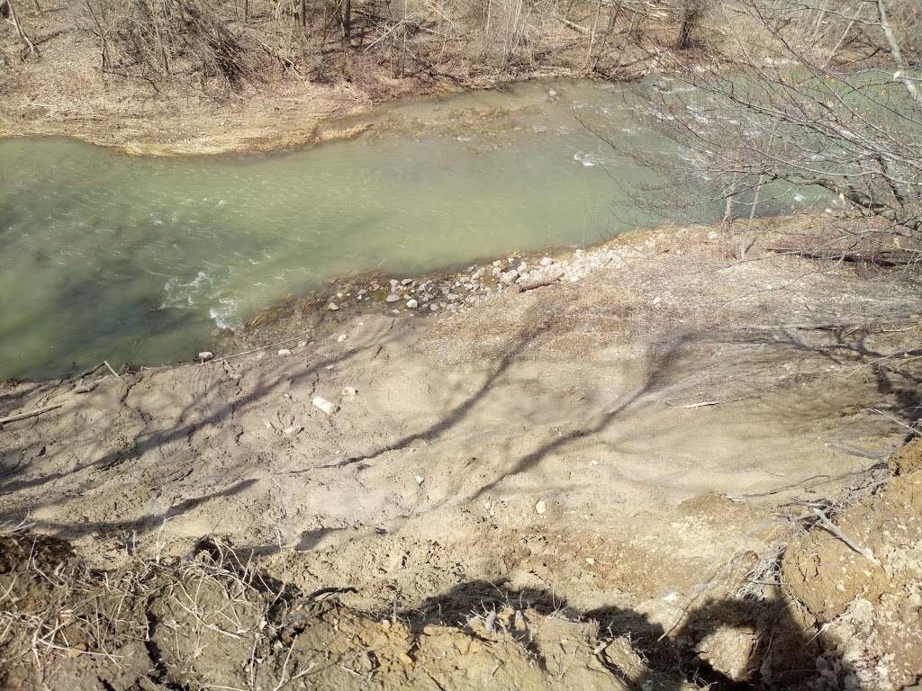Medway Valley Heritage Forest | London, ON N6G 3M6, Canada | Phone: (519) 661-4500