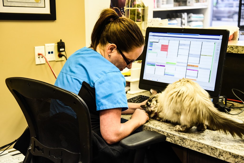 VCA Canada Crowfoot Animal Hospital | 150 Crowfoot Crescent NW #211, Calgary, AB T3G 3T2, Canada | Phone: (403) 241-8944