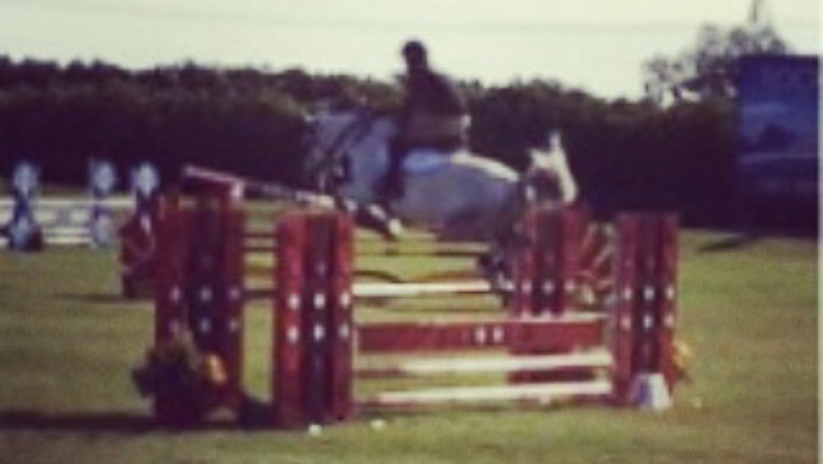 Perry Equestrian Farrier Services | 1558 Onslow Mountain Rd, Onslow Mountain, NS B6L 6R7, Canada | Phone: (902) 430-3234