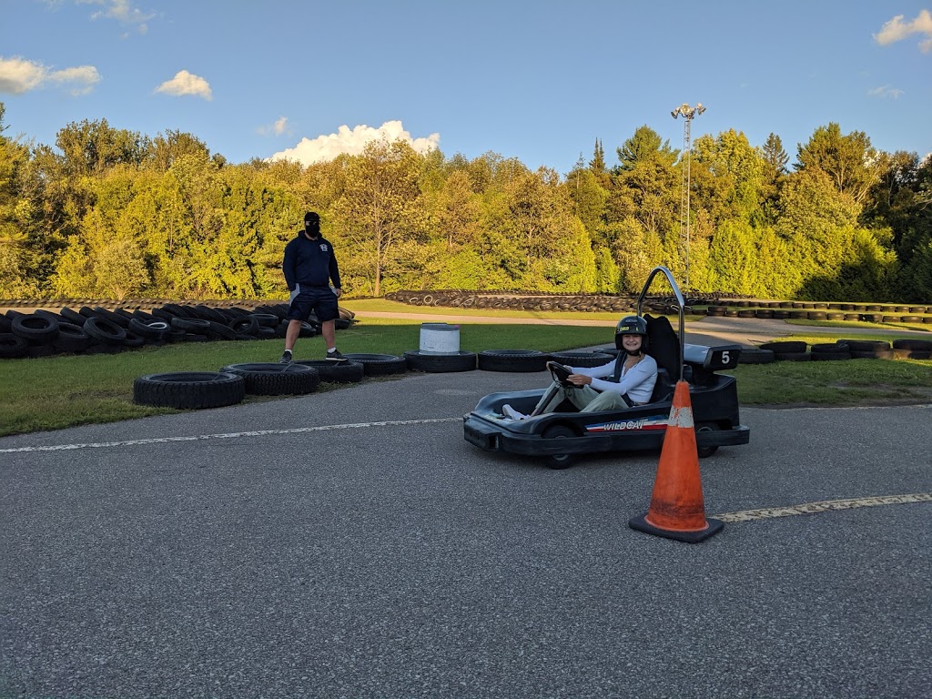 Balm Beach Go Karts & Mini Putt | 239 Balm Beach Rd W, Tiny, ON L0L 2J0, Canada | Phone: (705) 526-6801