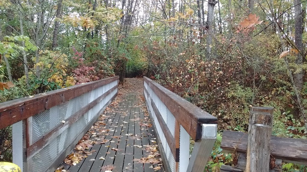 Rotary Park | 545 Al Wilson Grove, Duncan, BC V9L 5E4, Canada | Phone: (250) 746-6126