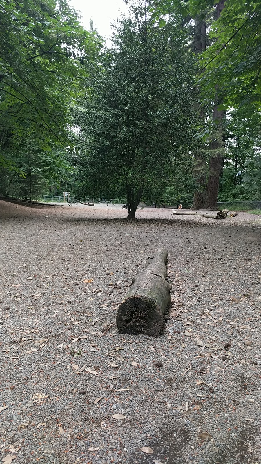 Queens Park Dog Park | Unnamed Road, New Westminster, BC V3L, Canada