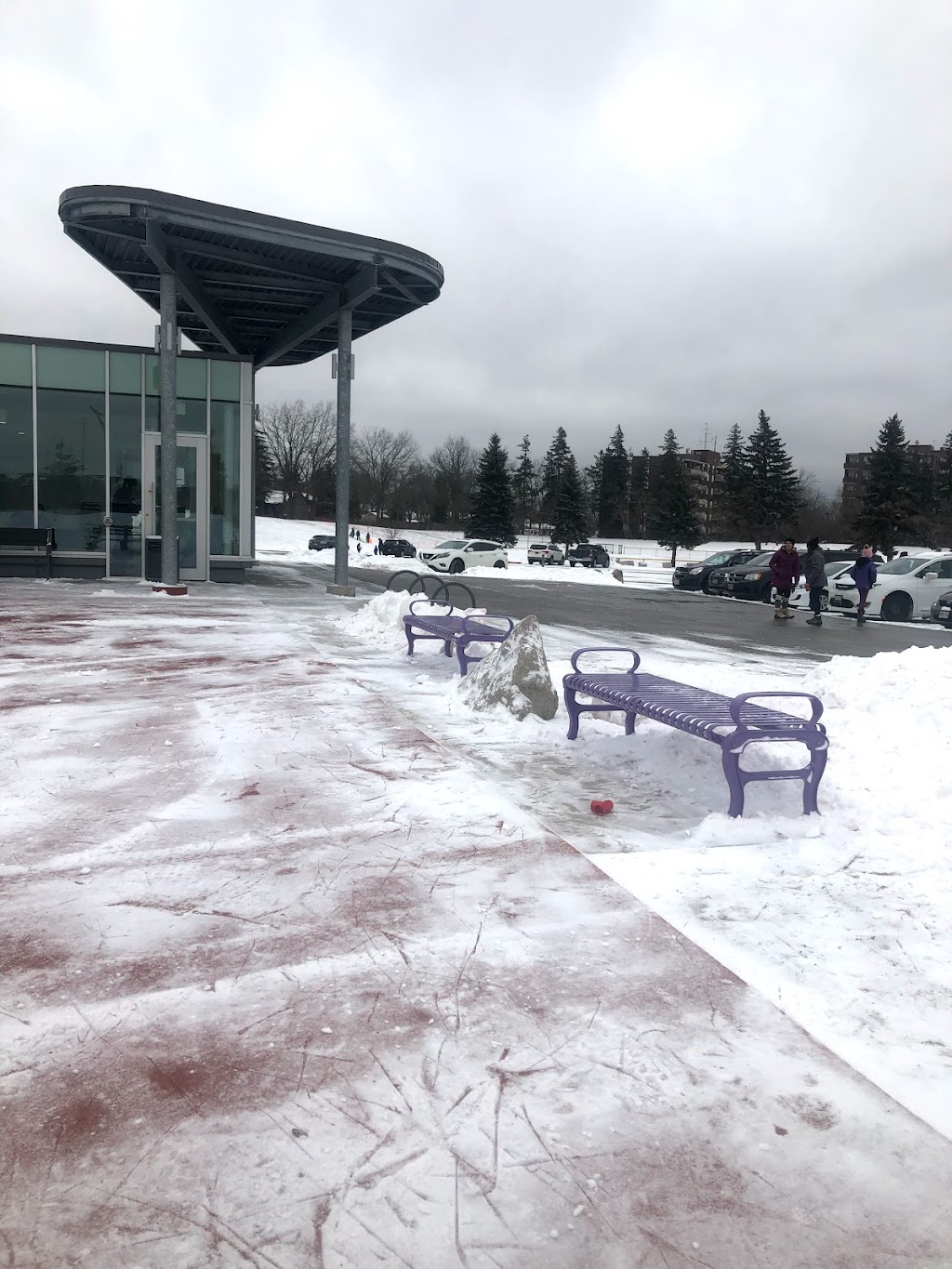 Waterdown Skating Loop | 200 Hamilton St N, Waterdown, ON L0R 2H0, Canada | Phone: (905) 546-3747