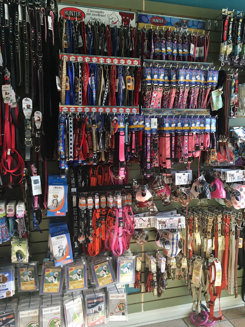 Animalissimo inc. | 5434 Boulevard Cousineau, Saint-Hubert, QC J3Y 7J8, Canada | Phone: (450) 812-9585