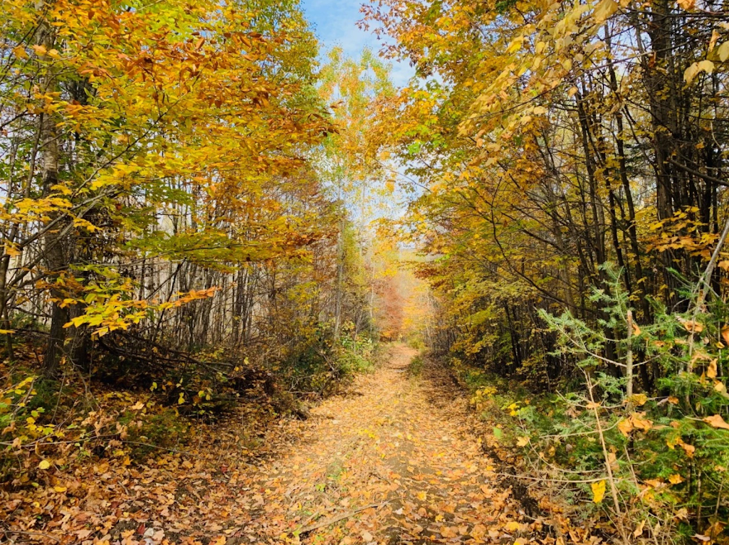 Seigneurie du Lac Meduse en Mauricie | 8 Chem. de la Colline, Saint-Roch-de-Mékinac, QC J0V 1P0, Canada | Phone: (514) 814-2723