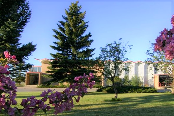 Meadowinds Counselling Services | Excalibur Building, 1601 15 Ave, Didsbury, AB T0M 0W0, Canada | Phone: (403) 402-4832