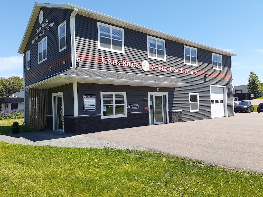 Cross Roads Animal Health Centre | 3 Myrtle St, Stratford, PE C1B 1P4, Canada | Phone: (902) 370-2838