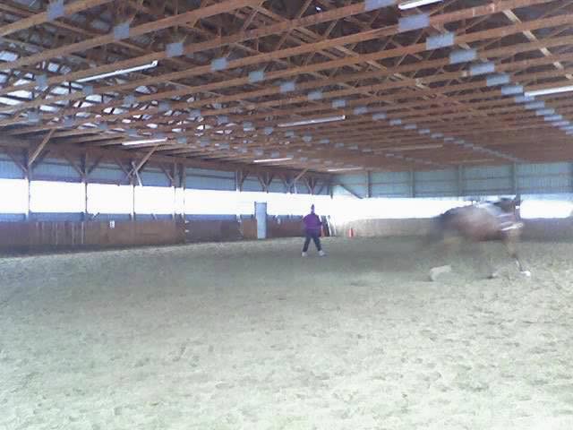Spotacular farms | 4358 Holborn Rd, Mount Albert, ON L0G 1M0, Canada | Phone: (289) 716-4461