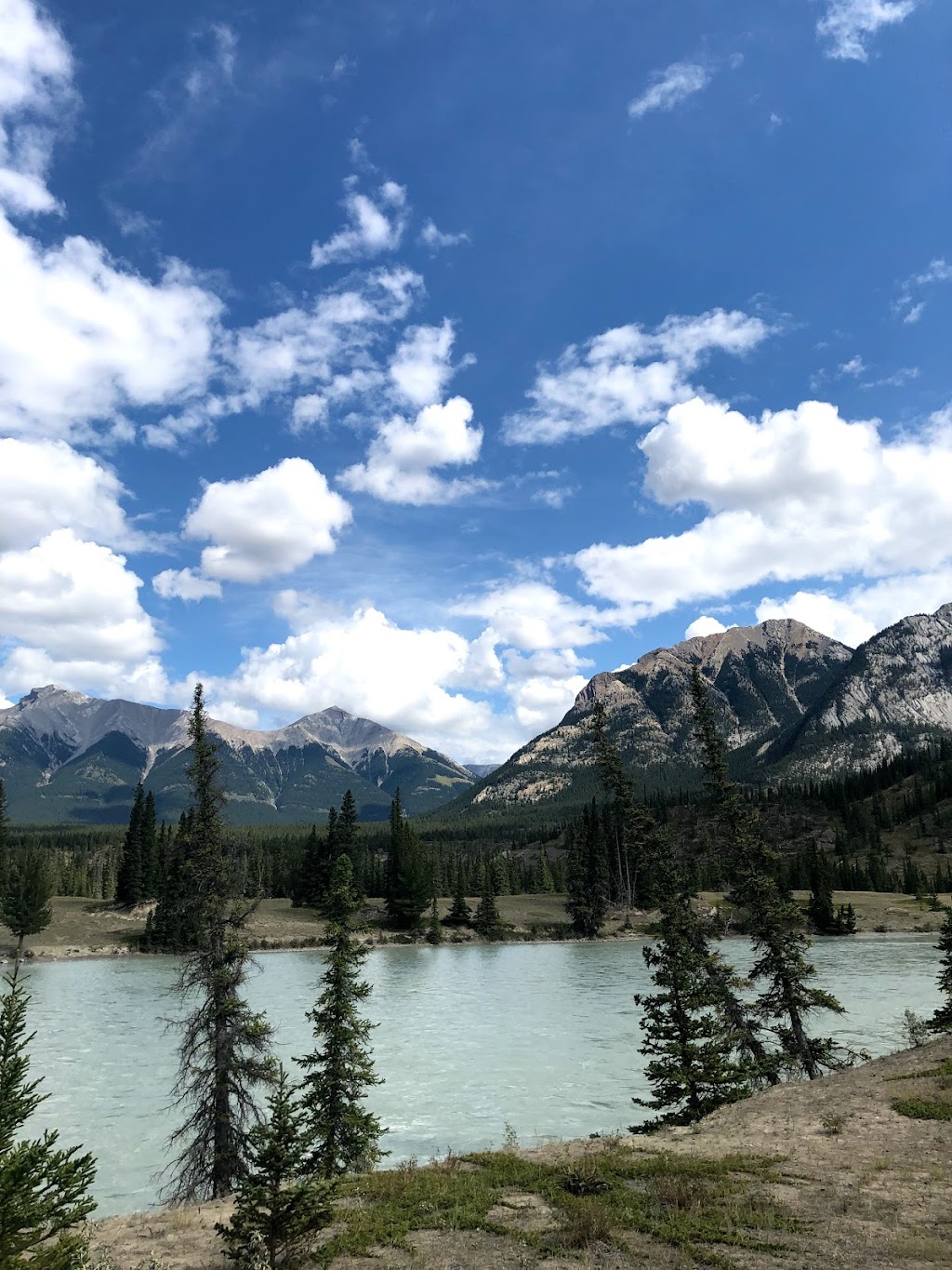 Kootenay Plains Ecological Reserve | Clearwater County, AB, Canada | Phone: (403) 845-8349