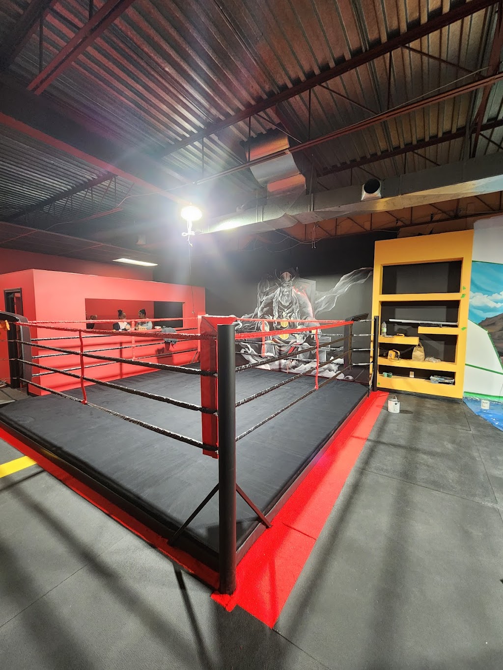 Club de Boxe Viking | 8920 Boul Langelier, Montréal, QC H1P 3C8, Canada | Phone: (514) 323-5911