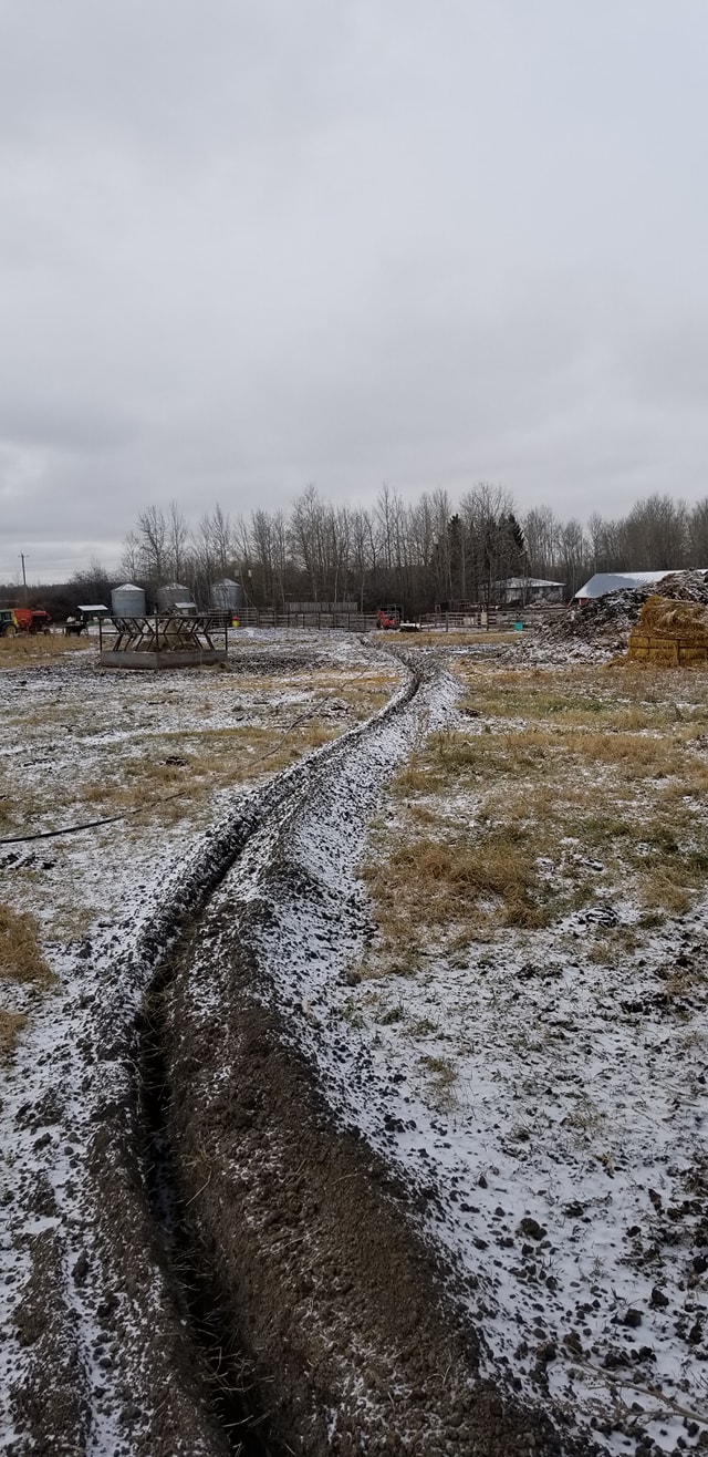 Positive Power Electrical Services | 20 Meadowland Gardens, Spruce Grove, AB T7X 0P9, Canada | Phone: (780) 718-4706