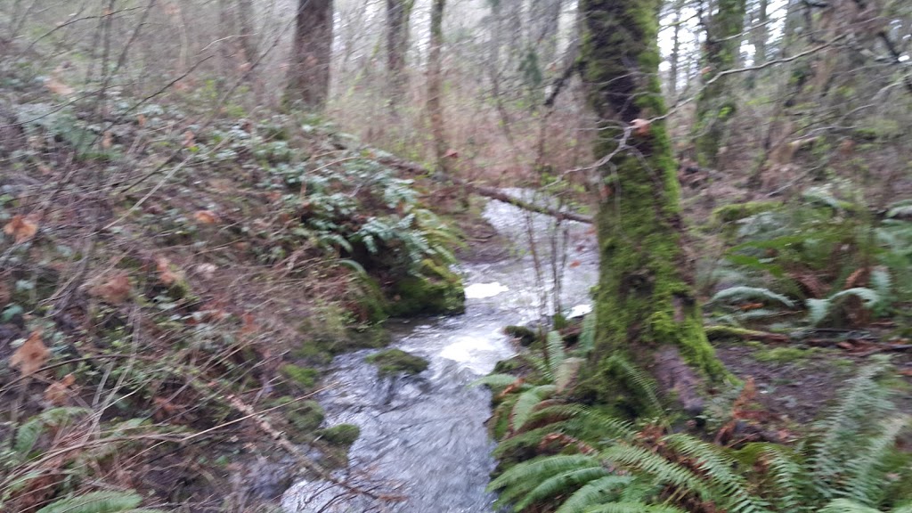Devonian Regional Park | -4749 Canada, 4705 William Head Rd, Victoria, BC V9C 3Y7, Canada