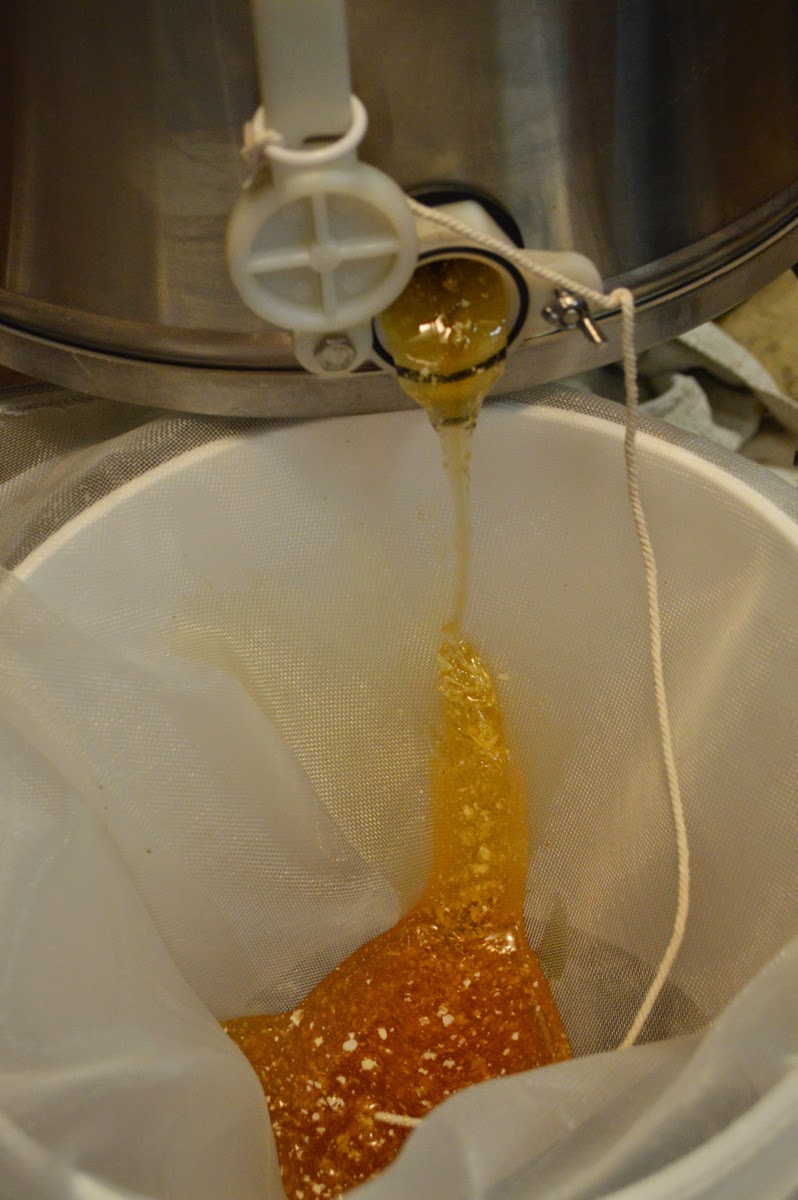 EquiFlora Micro Apiary | 7455 Carnarvon St, Vancouver, BC V6N 1K6, Canada | Phone: (604) 328-9416