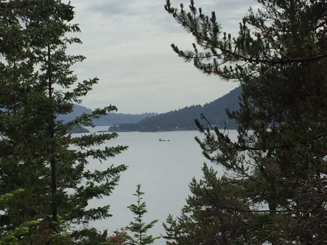 Perspective Counselling | 11 E Royal Ave #2003, New Westminster, BC V3L 0A8, Canada | Phone: (604) 220-9937