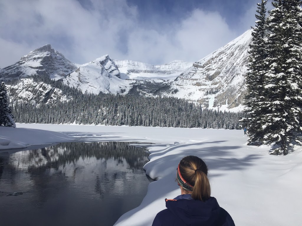 Elk Lake Cabin | Elk Pass, East Kootenay A, BC V0B 1H0, Canada | Phone: (403) 678-3200