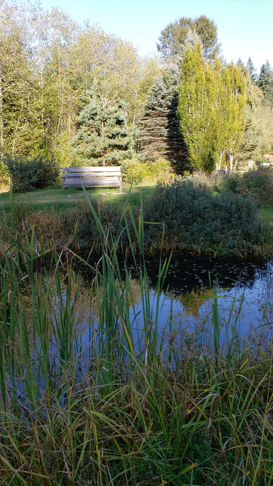 Sunshine Coast Botanical Garden Society | 5941 Mason Rd, Sechelt, BC V0N 3A8, Canada | Phone: (604) 740-3969
