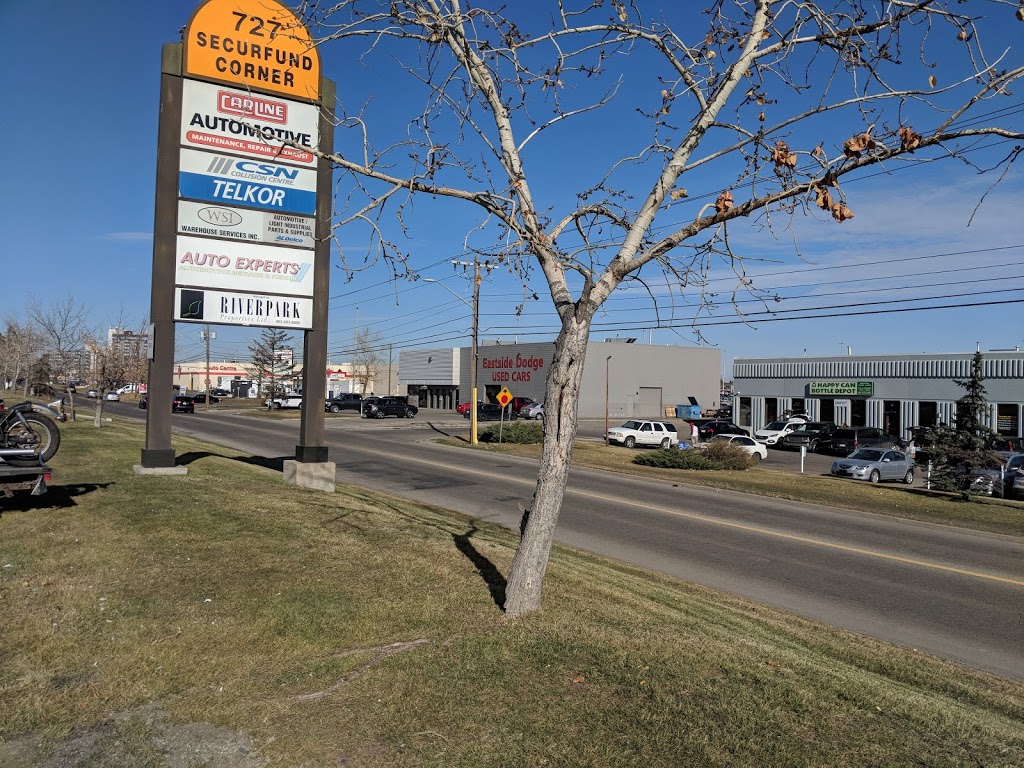 Carline Automotive | Bay 6, 727 33 St NE, Calgary, AB T2A 6M6, Canada | Phone: (403) 273-4506