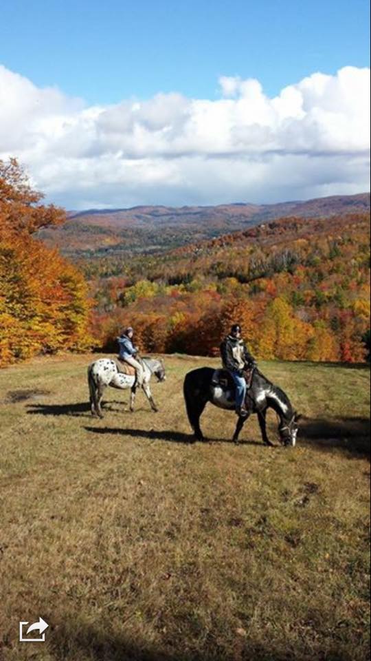 Les Écuries Du Chantecler | 1815 Rue du Mont Blanc, Sainte-Adèle, QC J8B 2Z8, Canada | Phone: (450) 229-7700