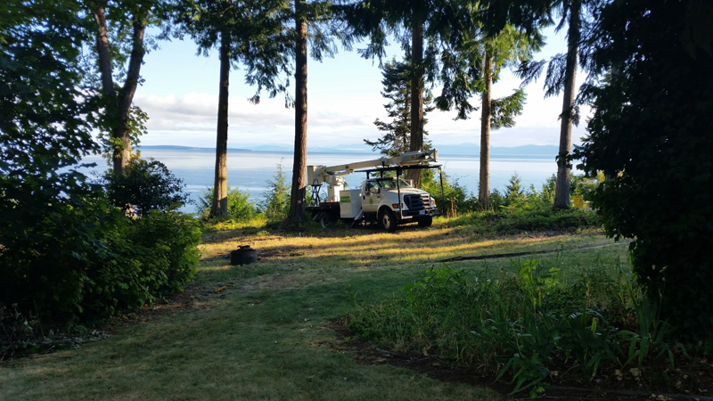 Treeco Tree Service | Coombs, BC V0R 1M0, Canada | Phone: (250) 228-8733