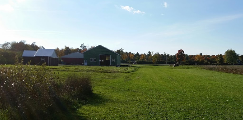 Ritchie Airfield | 35808 NY-12, Clayton, NY 13624, USA | Phone: (315) 777-5868