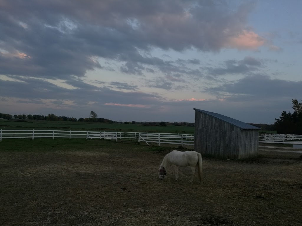 SARI Therapeutic Riding | 12659 Medway Rd, Arva, ON N0M 1C0, Canada | Phone: (519) 666-1123