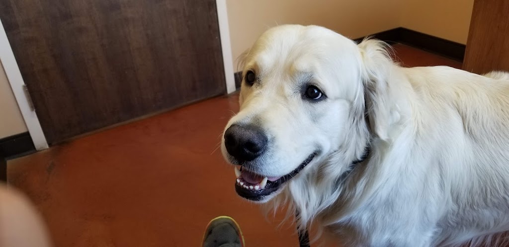 Hillcrest Animal Hospital | 17532 Hwy 2 West, Trenton, ON K8V 5P7, Canada | Phone: (613) 394-4811