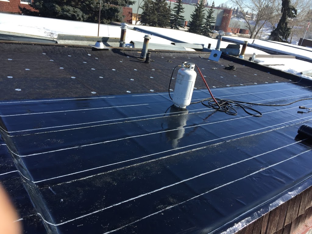 Albany Roofing Ltd | 2219 30 St SW, Calgary, AB T3E 2L7, Canada | Phone: (403) 923-2065