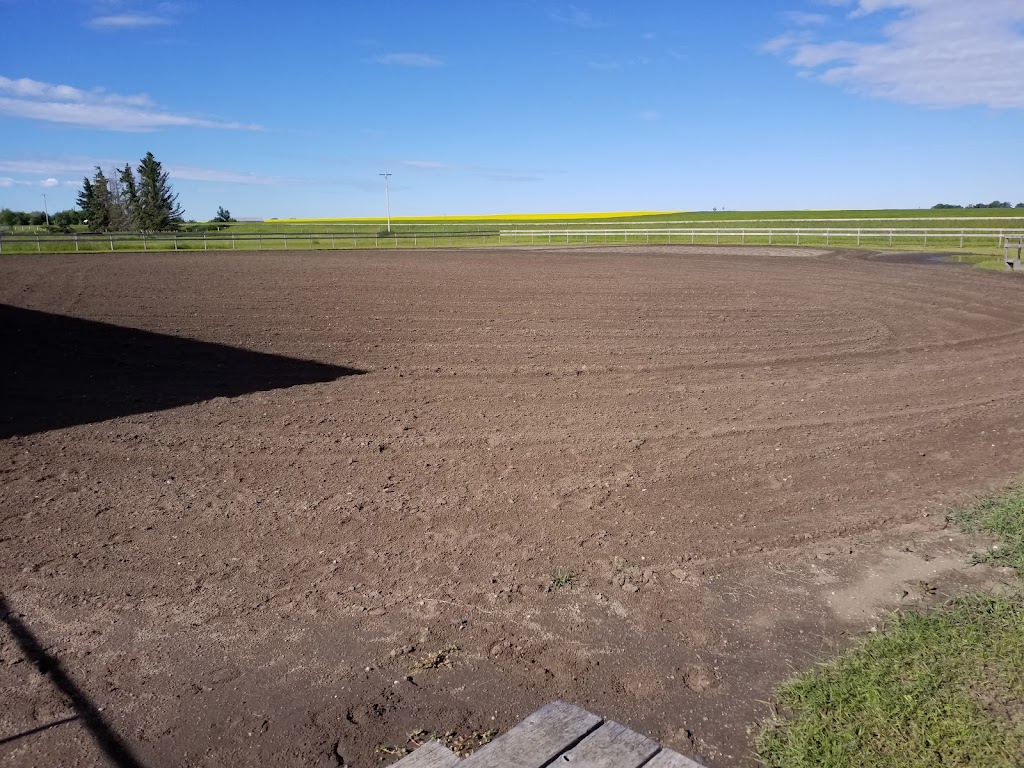 L and M Stables | Range Rd 271, Alberta T0M, Canada, Canada | Phone: (403) 935-7734