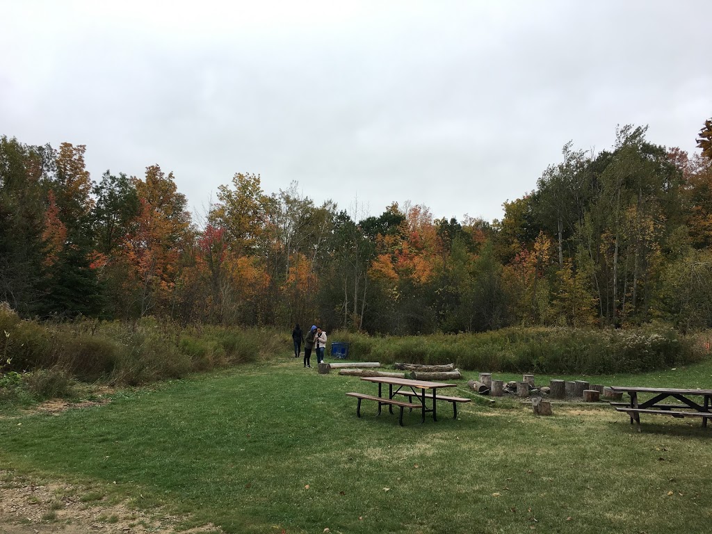 Etobicoke Field Study Centre | 8180 Hwy 50, Brampton, ON L6T, Canada | Phone: (905) 794-2171