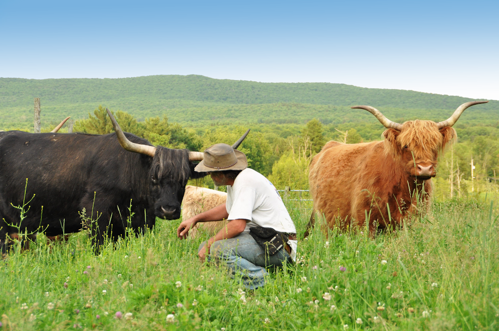 Ferme Badger | 58 Chem. Bailey, Bolton-Ouest, QC J0E 2T0, Canada | Phone: (450) 405-7738