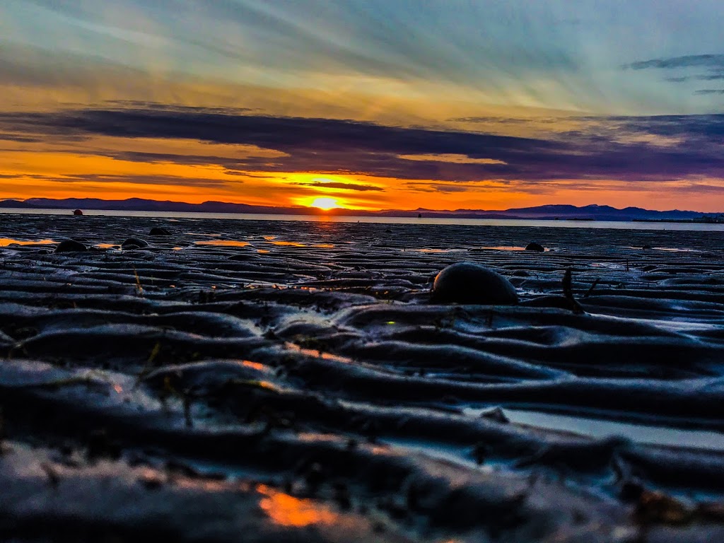 Tsawwassen Beach | Tsawwassen, Delta, BC V4M 2M9, Canada