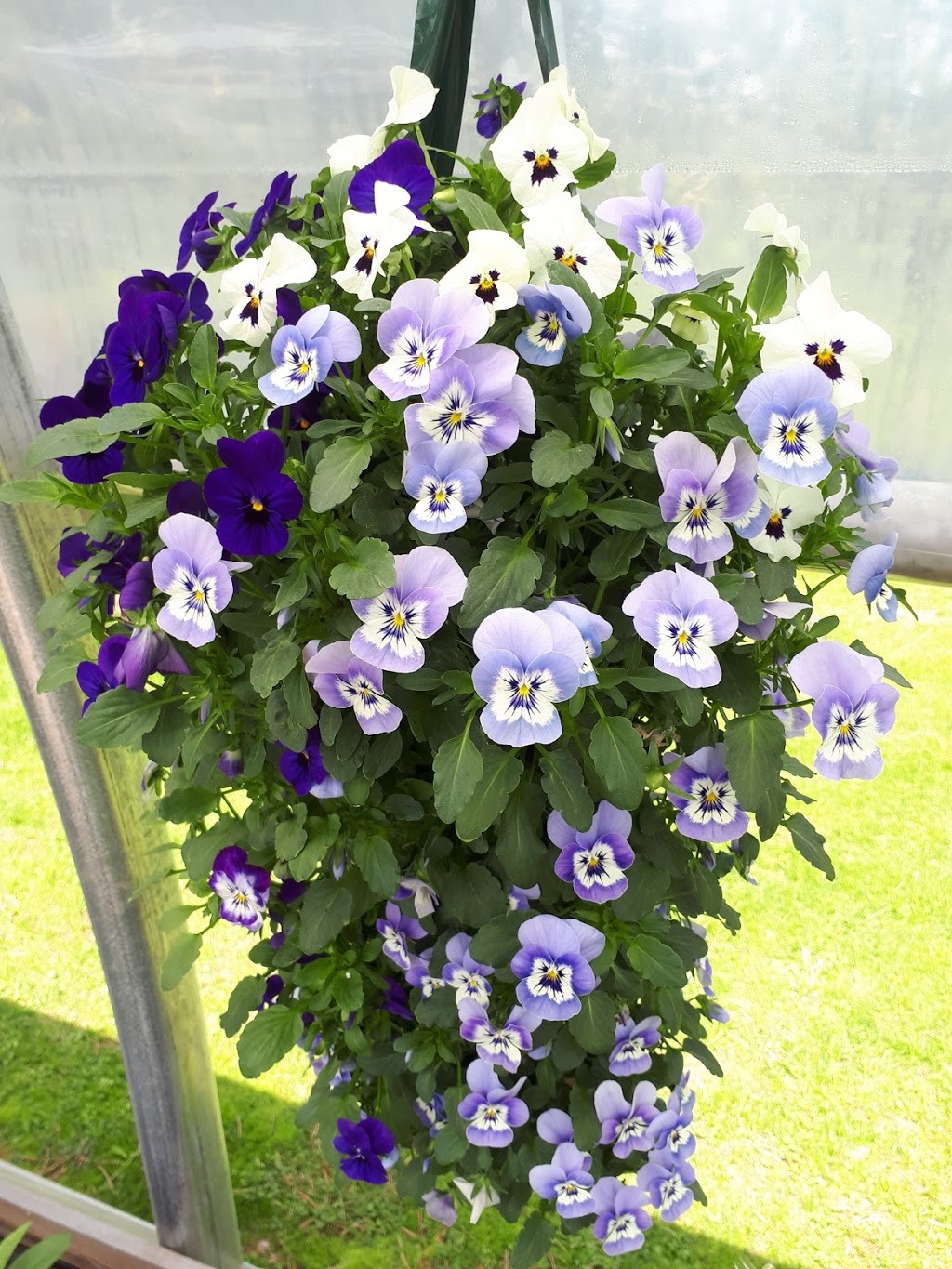 Lowland Gardens | 8844 Nova Scotia Trunk 2, Great Village, NS B0M 1L0, Canada | Phone: (902) 668-2309