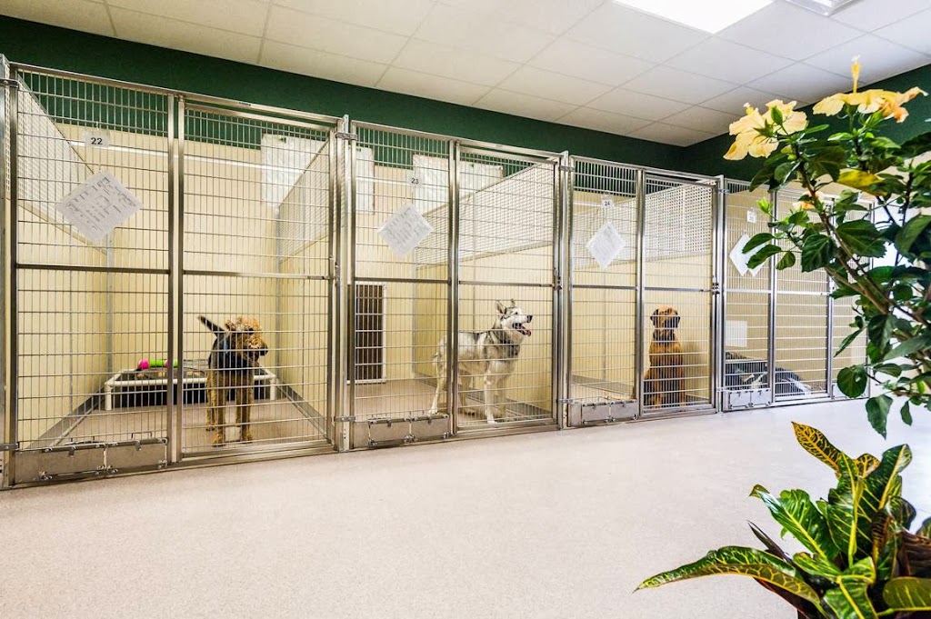 Covered Bridge Boarding Kennel | 301 Concession 4 Rd E, Tiny, ON L0L 2T0, Canada | Phone: (705) 322-0994