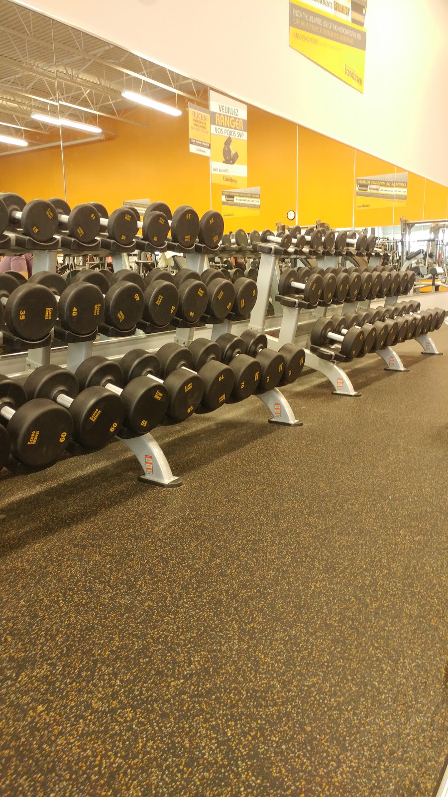 Éconofitness | 480 Rue Barkoff, Trois-Rivières, QC G8T 9P5, Canada | Phone: (819) 840-3726