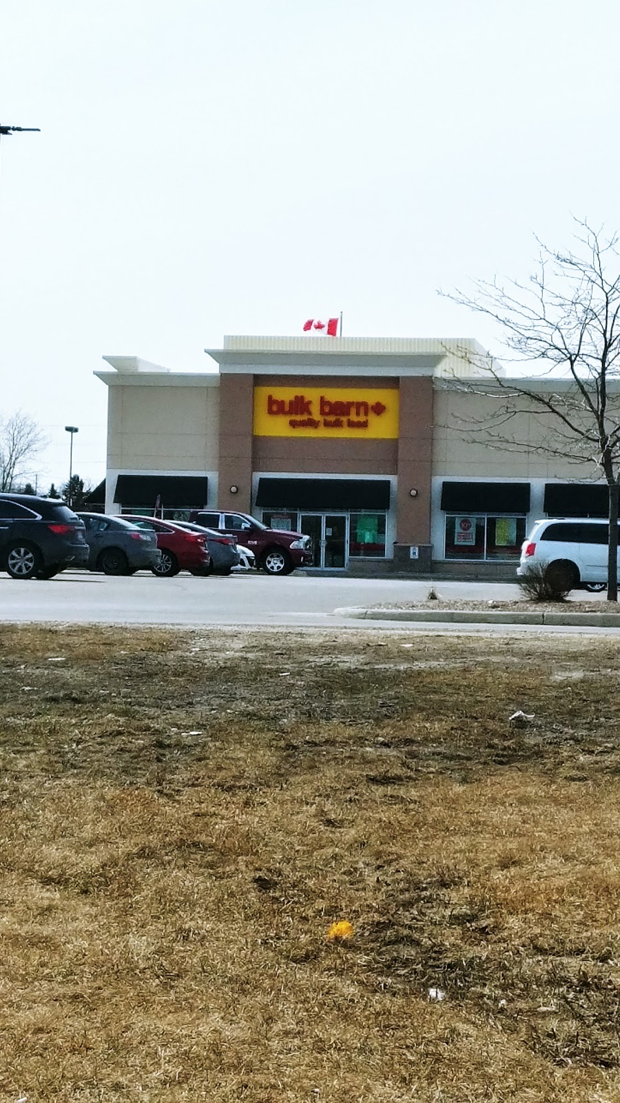 Bulk Barn | 49 Woodlawn Rd W, Guelph, ON N1H 1G8, Canada | Phone: (519) 822-1233