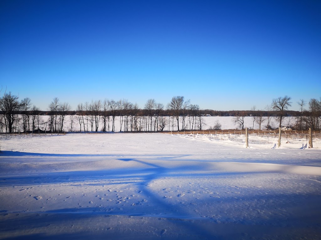 Longrid Estates Vineyards & Winery | 10941 Loyalist Pkwy, Adolphustown, ON K0H 1G0, Canada | Phone: (613) 707-4591