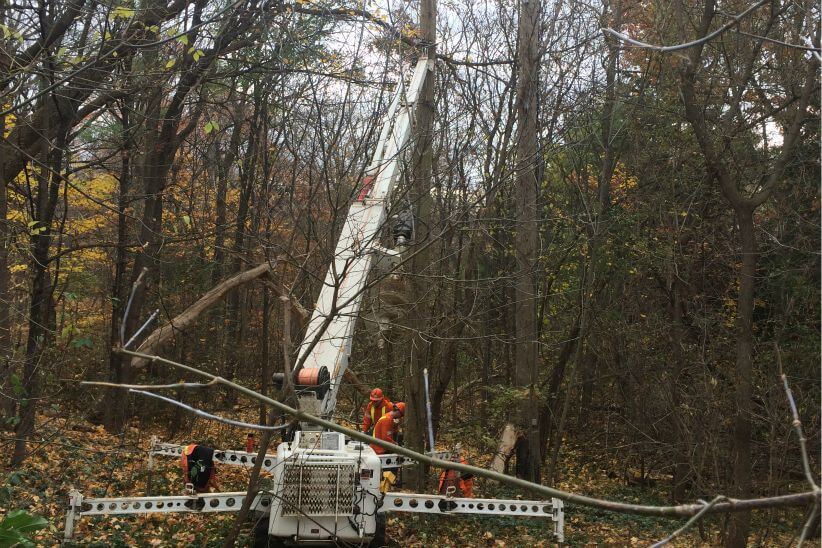McNamara Powerline Construction Ltd | 131 Concession Rd 5 W, Tiny, ON L0L 2T0, Canada | Phone: (705) 322-0321