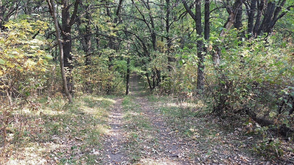 Birch Ski Area | 40120 RuralRoad 32 North, Roseisle, MB R0G 1V0, Canada | Phone: (204) 828-3586