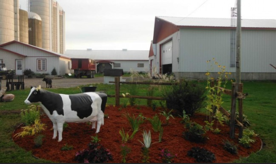 Jardin De Vos Reves | 341 Rue Principale, Saint-Cléophas-de-Brandon, QC J0K 2A0, Canada | Phone: (450) 889-1834