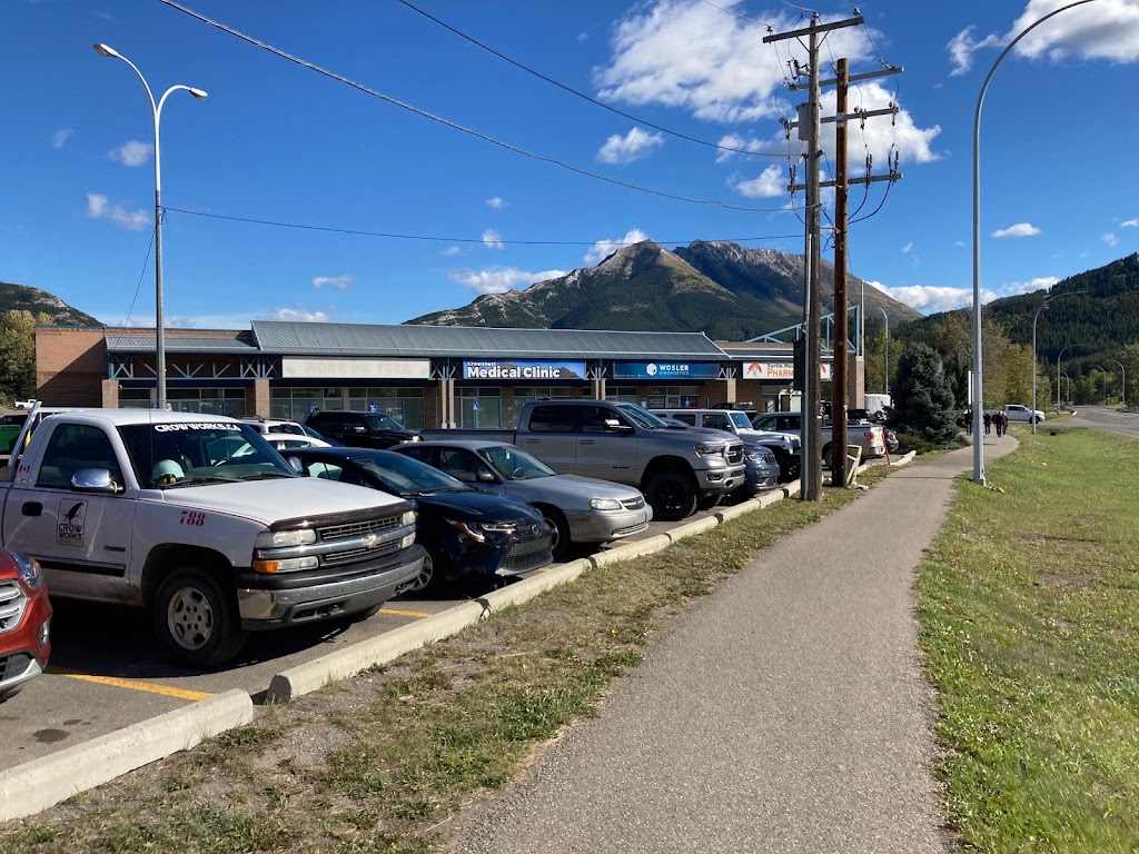 Wosler Diagnostics | 11001 20 Ave #1, Blairmore, AB T0K 0E0, Canada | Phone: (403) 744-4133