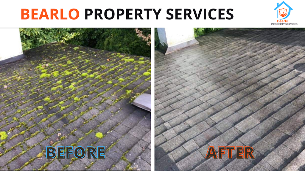 Bearlo Property Services | 4443 Carson St, Burnaby, BC V5J 2Y3, Canada | Phone: (250) 415-8070