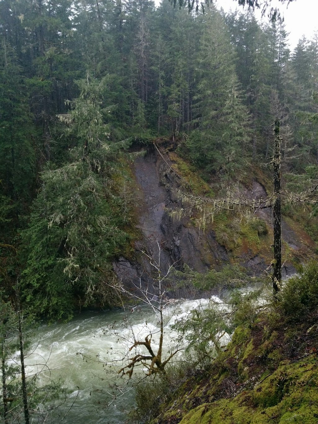 Cowichan River Provincial Park | Lake Cowichan, BC V0R 2G0, Canada | Phone: (877) 559-2115