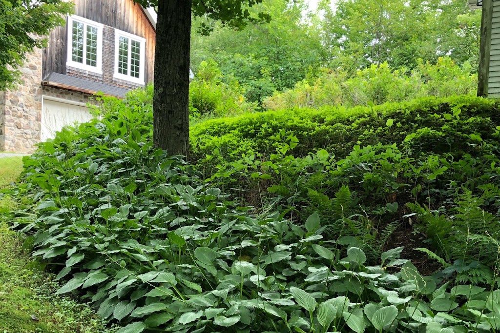 Lucy Pietraszkiewicz | 3 Chem. de Glen, Bolton-Ouest, QC J0E 2T0, Canada | Phone: (579) 488-6479