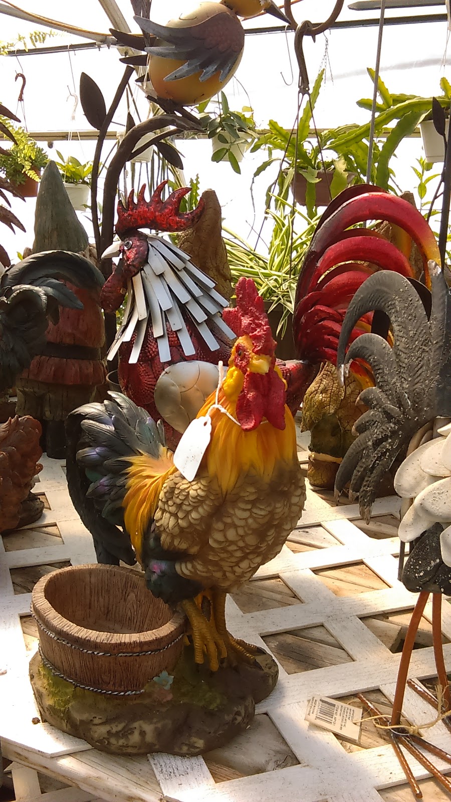 Perennials The Valley | 1960 Chemin New Erin, Godmanchester, QC J0S 1H0, Canada | Phone: (450) 801-8165
