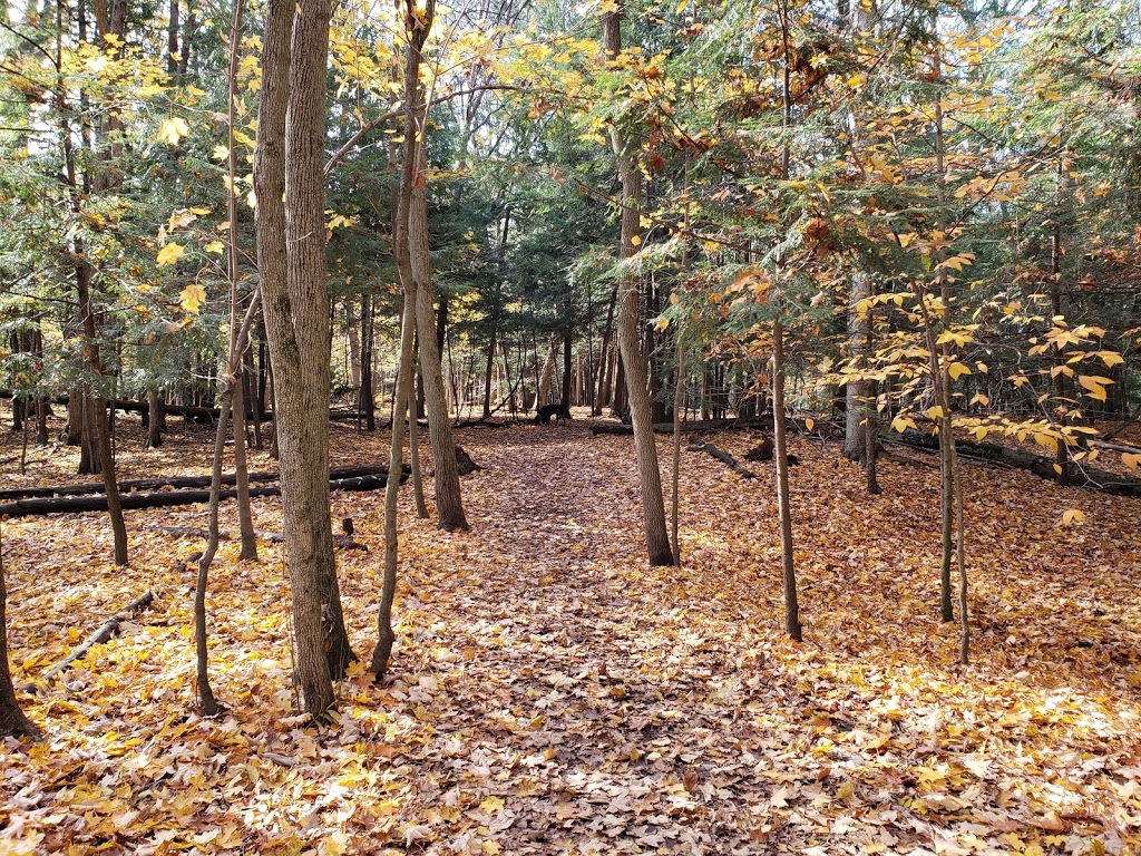 Harmony Valley Conservation Area | 915 Grandview St N, Oshawa, ON L1K 2E3, Canada | Phone: (905) 436-3311